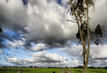 去年夏天武汉光谷软件园遇老同学李明，他因加班压力大苦不堪言