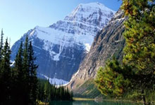 去年夏天武汉光谷软件园遇老同学李明，他因加班压力大苦不堪言