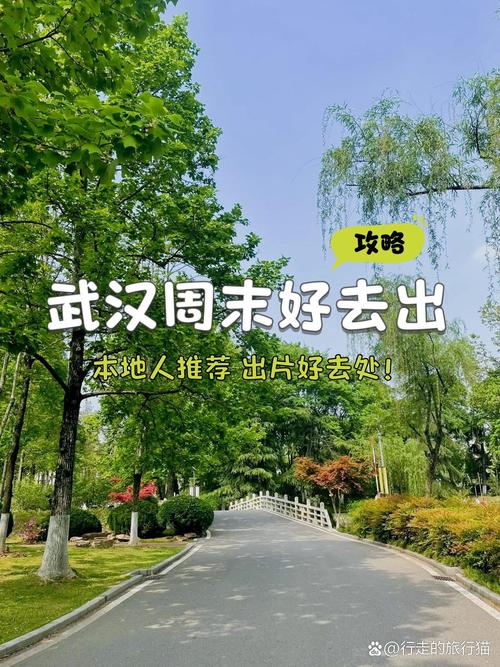 武汉周末休闲好去处推荐，告别无聊宅家指南